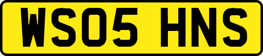 WS05HNS