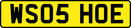 WS05HOE