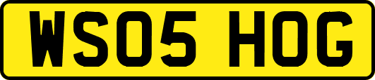 WS05HOG