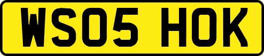 WS05HOK