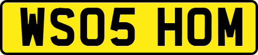 WS05HOM