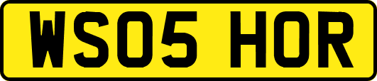 WS05HOR