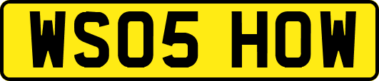 WS05HOW