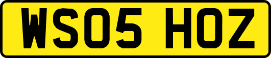 WS05HOZ