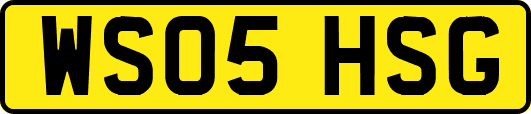WS05HSG