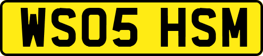 WS05HSM
