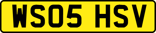 WS05HSV