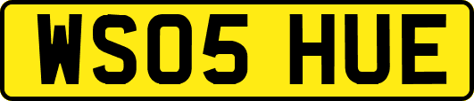 WS05HUE