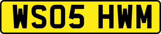 WS05HWM