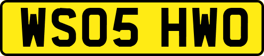 WS05HWO