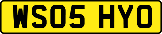 WS05HYO