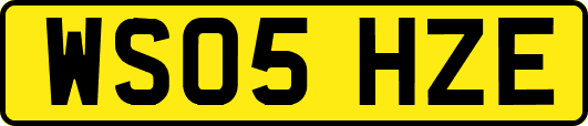 WS05HZE