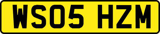 WS05HZM