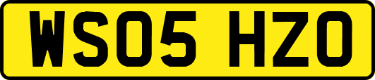 WS05HZO