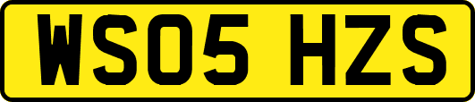 WS05HZS