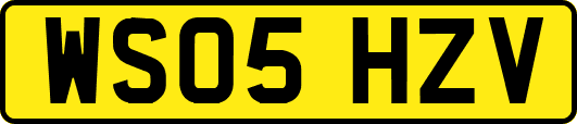 WS05HZV