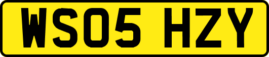 WS05HZY