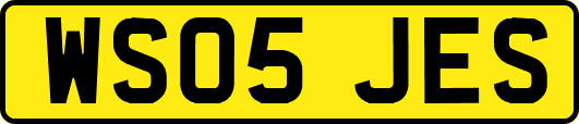 WS05JES