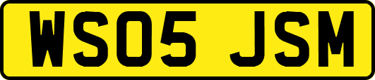 WS05JSM