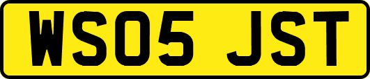 WS05JST
