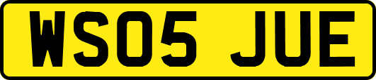 WS05JUE