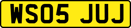 WS05JUJ