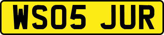 WS05JUR