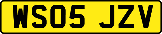 WS05JZV
