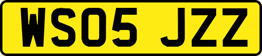 WS05JZZ