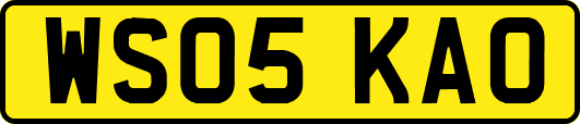 WS05KAO