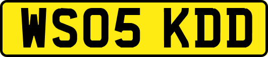 WS05KDD