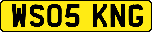 WS05KNG