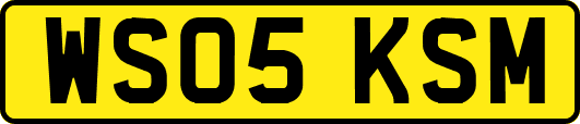 WS05KSM