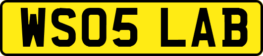 WS05LAB