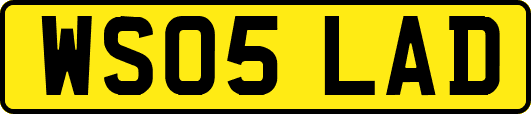 WS05LAD