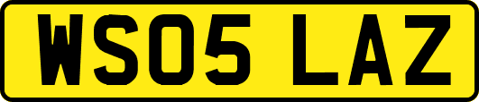 WS05LAZ