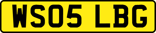 WS05LBG