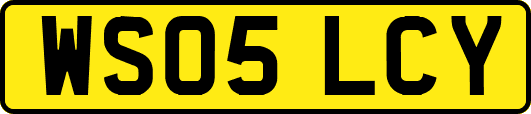 WS05LCY