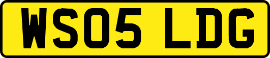 WS05LDG