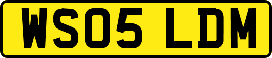 WS05LDM