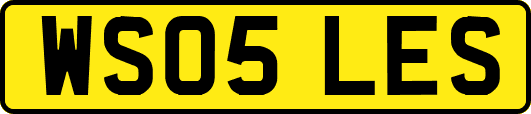 WS05LES