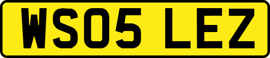 WS05LEZ