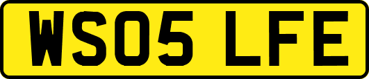 WS05LFE