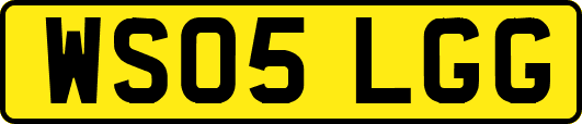 WS05LGG