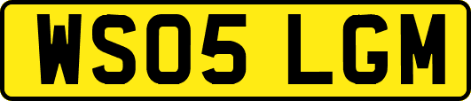 WS05LGM