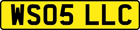 WS05LLC