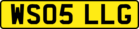 WS05LLG