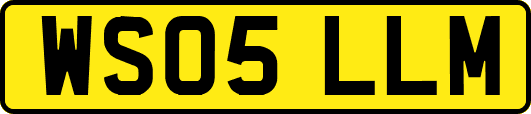 WS05LLM