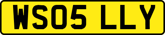 WS05LLY