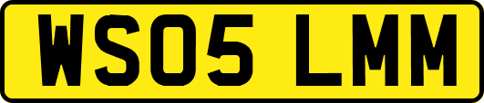 WS05LMM